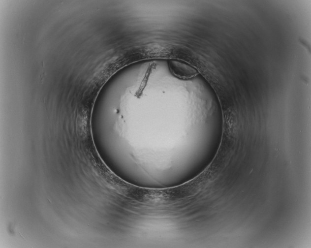 X0000101690745200807171435