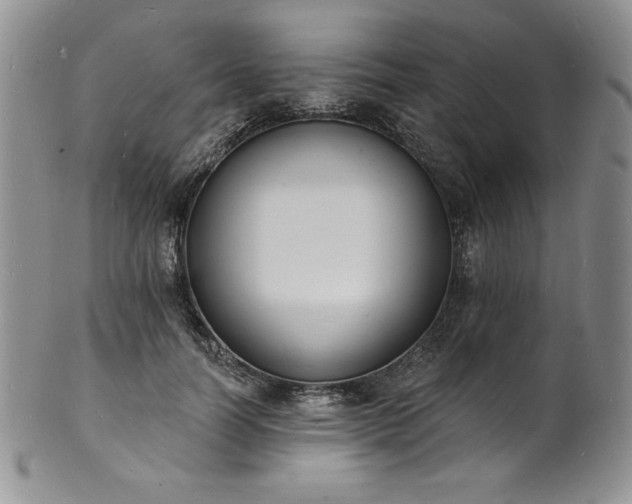 X0000101690746200807171435