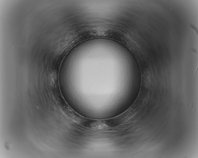 X0000101690747200807171435