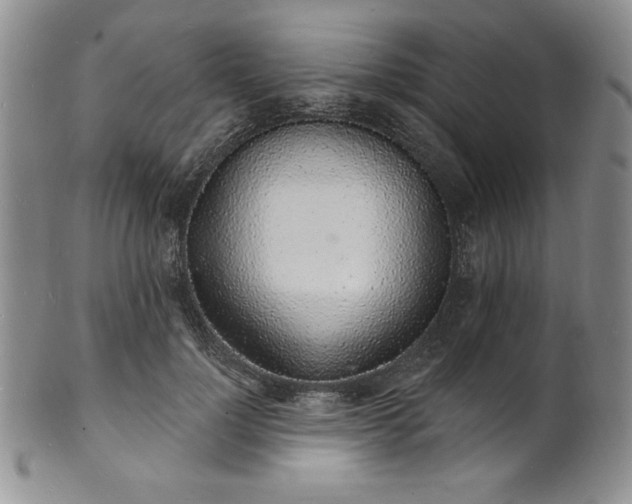 X0000101690748200807171435