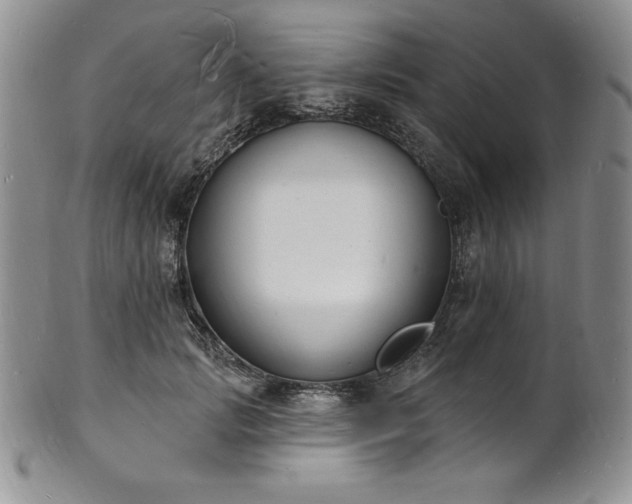 X0000101690749200807171435