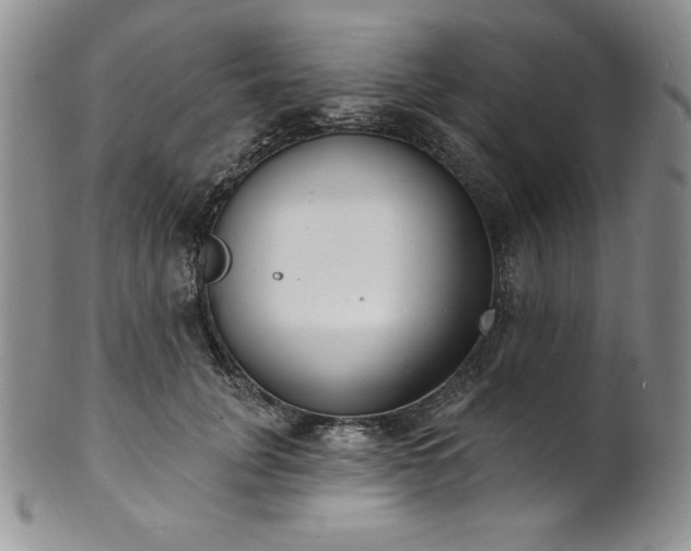 X0000101690751200807171435