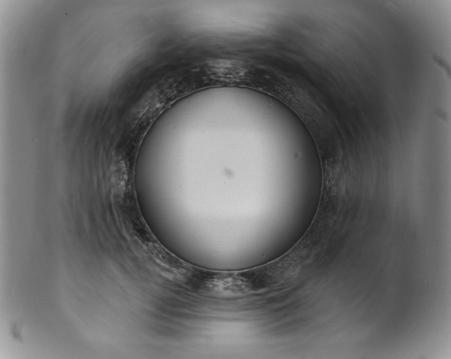 X0000101690752200807171435