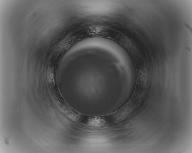 X0000101690754200807171435