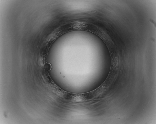 X0000101690755200807171435