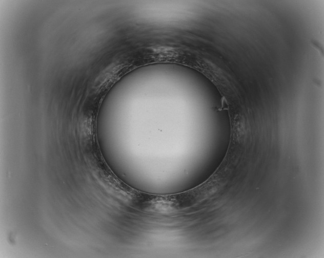 X0000101690756200807171435