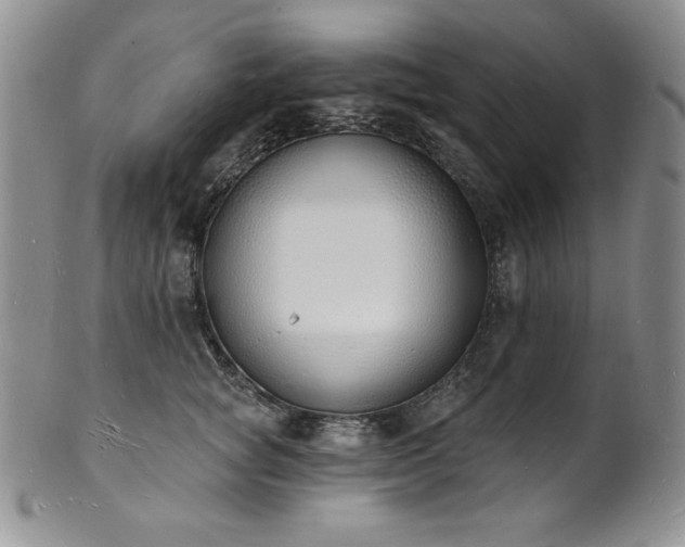 X0000101690757200807171435