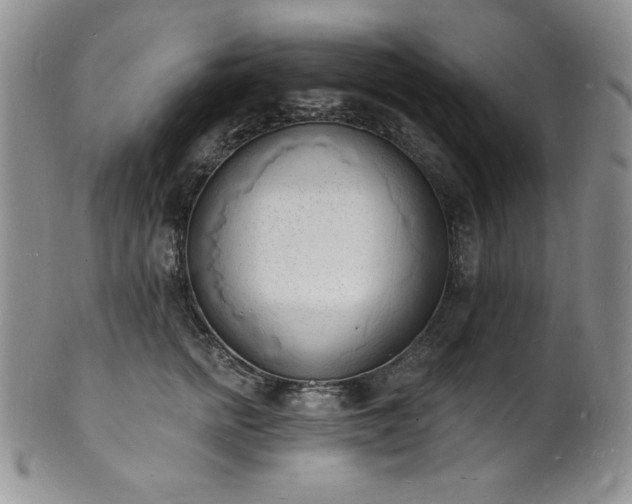 X0000101690758200807171435