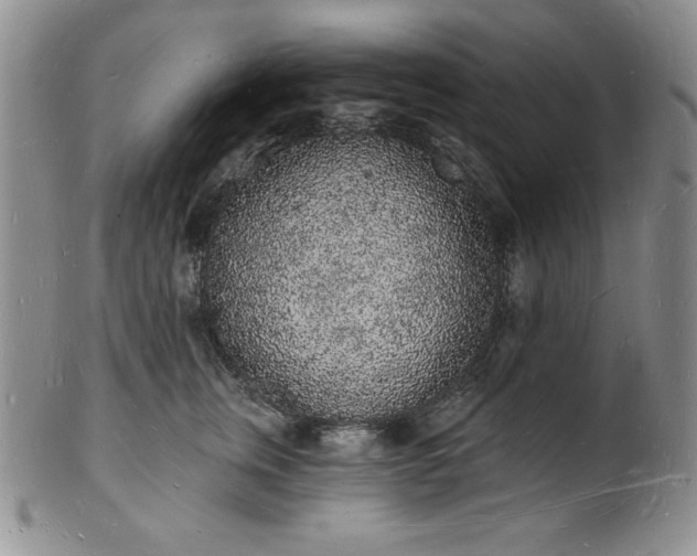 X0000101690759200807171435