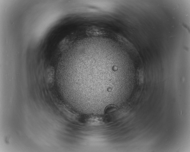 X0000101690760200807171435