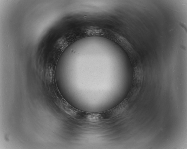 X0000101690761200807171435