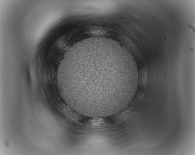 X0000101690762200807171435