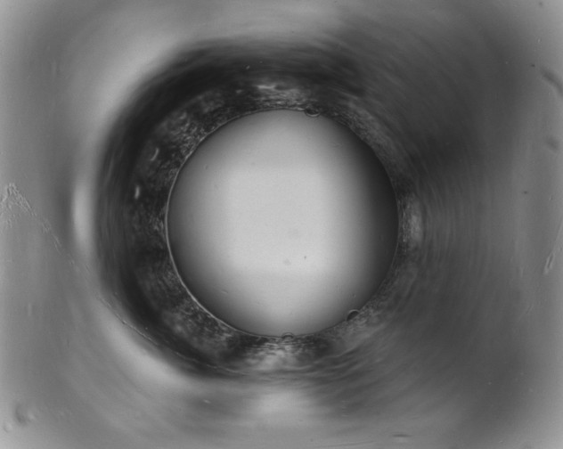 X0000101690764200807171435