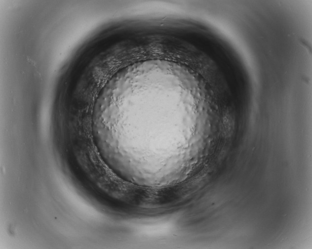 X0000101690765200807171435