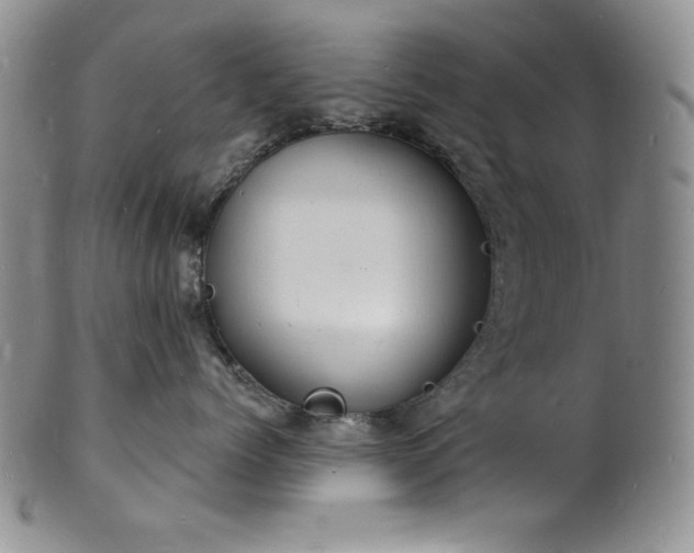 X0000101690768200807171435