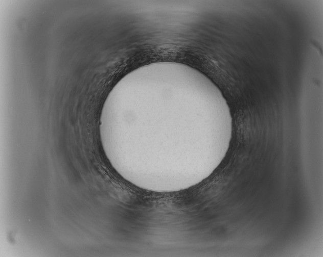 X0000101690769200807171435