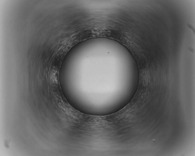 X0000101690770200807171435