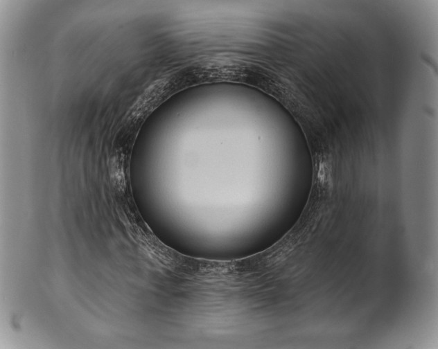 X0000101690771200807171435