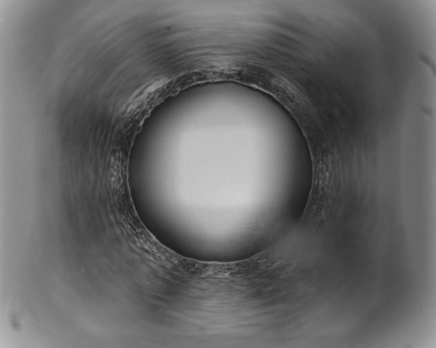 X0000101690773200807171434