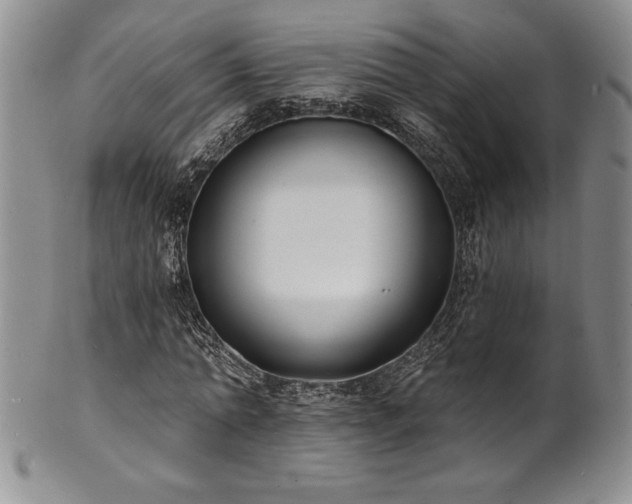 X0000101690774200807171434