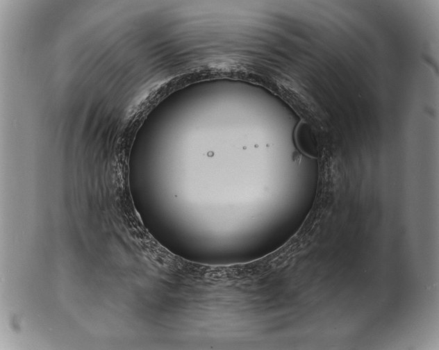 X0000101690776200807171434