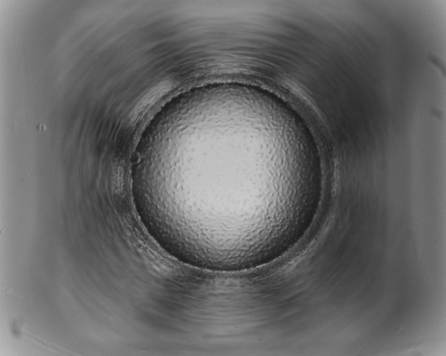 X0000101690777200807171434