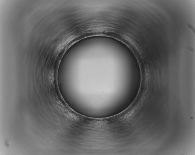 X0000101690778200807171434