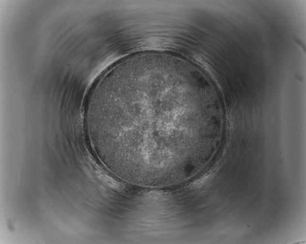 X0000101690779200807171434