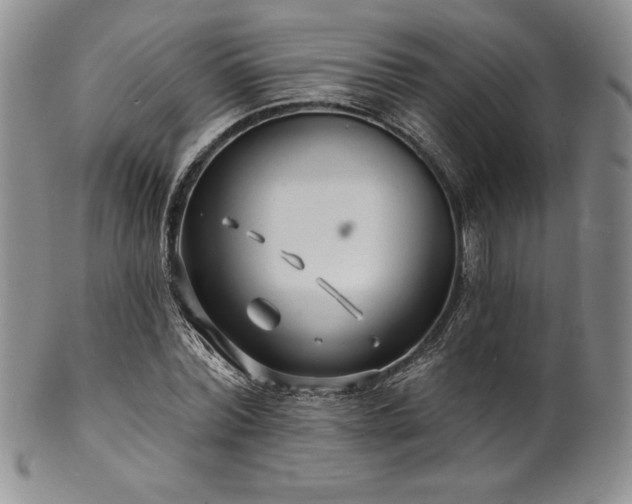 X0000101690780200807171434