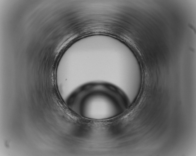 X0000101690782200807171434