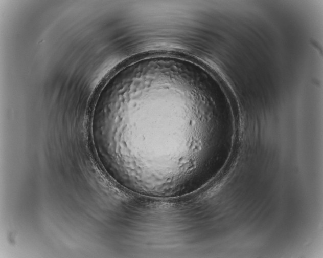 X0000101690783200807171434