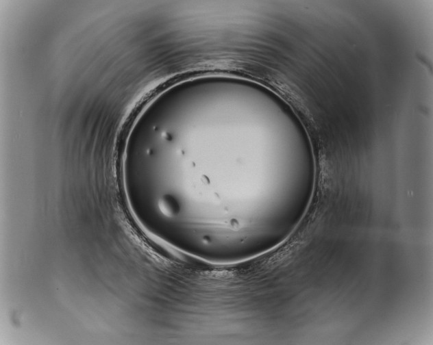 X0000101690784200807171434