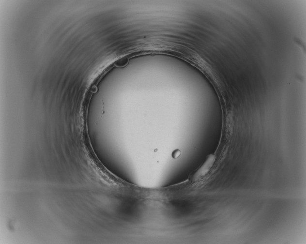 X0000101690787200807171434