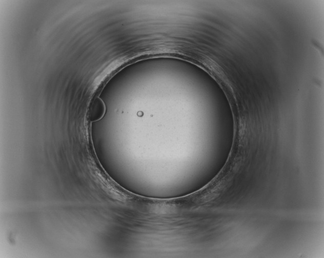 X0000101690789200807171434