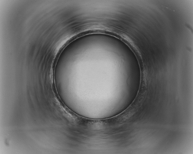 X0000101690791200807171434