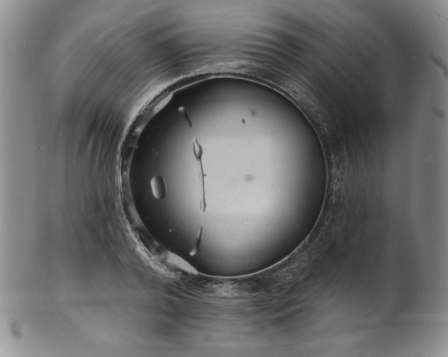 X0000101690792200807171434