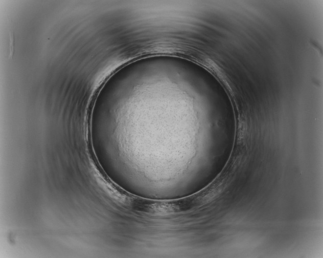 X0000101690795200807171434