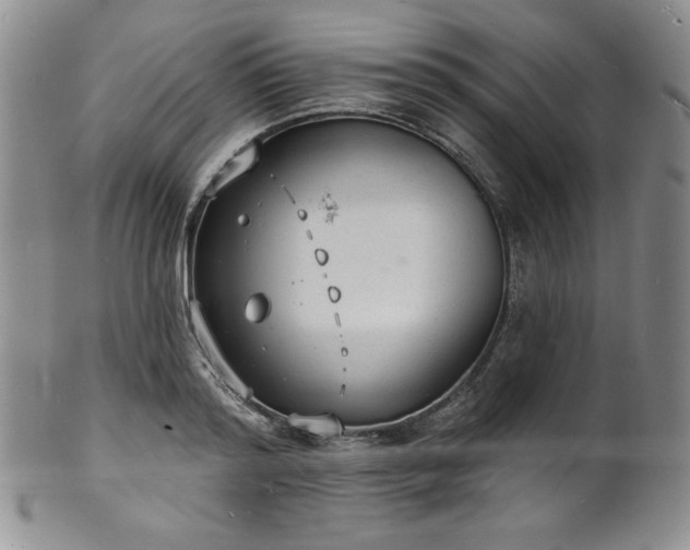 X0000101690796200807171434