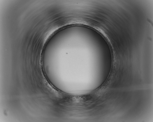 X0000101690799200807171434