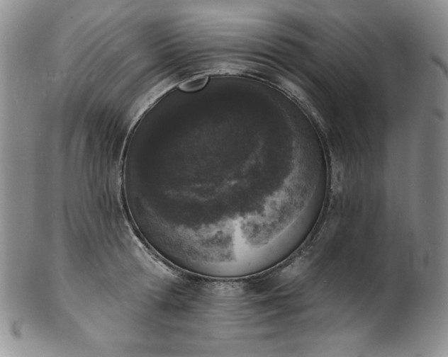 X0000101690802200807171434