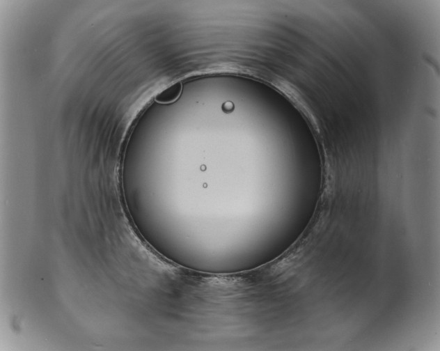 X0000101690805200807171434