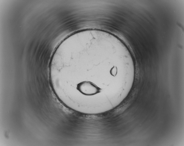 X0000101690807200807171434