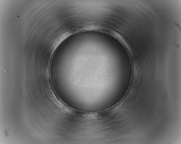 X0000101690810200807171434