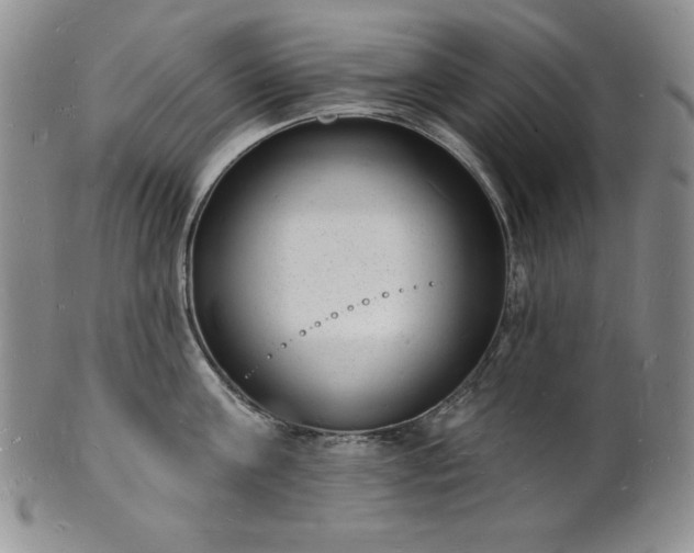 X0000101690811200807171434