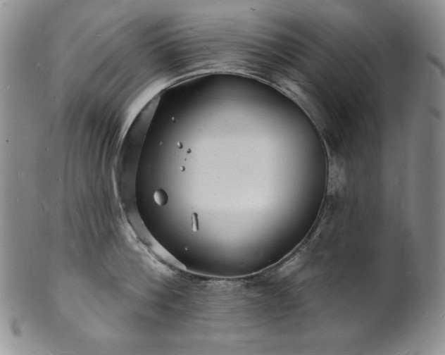 X0000101690812200807171434