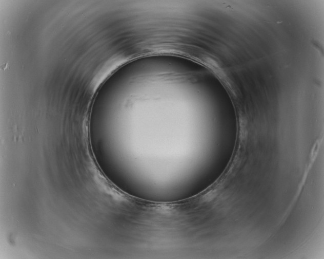 X0000101690814200807171434