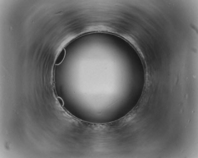 X0000101690815200807171434