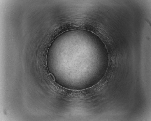 X0000101690817200807171433