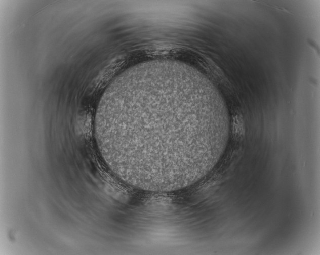 X0000101690820200807171433