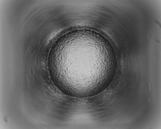 X0000101690823200807171433